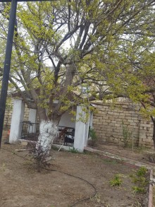 fatmai heyet evi almaq, -8