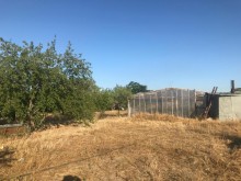 Satılır Torpaq, Sabunçu.r, Bilgəh-1