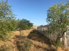 Satılır Torpaq, Sabunçu.r, Bilgəh-11