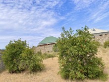 Satılır Torpaq, Sabunçu.r, Maştağa, Koroğlu.m-5