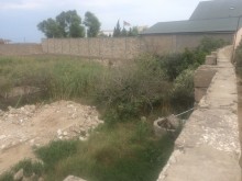 Satılır Torpaq, Xəzər.r, Mərdəkan, Koroğlu.m-3