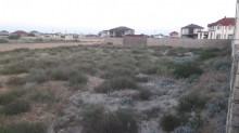 Satılır Torpaq, Sabunçu.r, Pirşağı-4