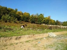 Satılır Torpaq, Qəbələ.ş-4