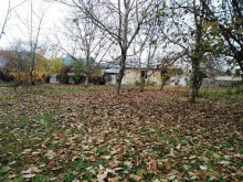 Satılır Torpaq, Qəbələ.ş-5