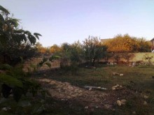 Satılır Torpaq, Qəbələ.ş-1