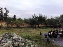 Satılır Torpaq, Qəbələ.ş-3