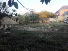 Satılır Torpaq, Qəbələ.ş-7