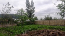 Satılır Torpaq, Qəbələ.ş-1