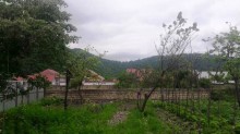 Satılır Torpaq, Qəbələ.ş-2