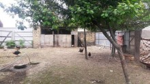 Satılır Torpaq, Qəbələ.ş-7