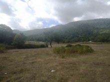 Satılır Torpaq, Qəbələ.ş-11