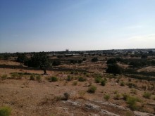 Satılır Torpaq, Sabunçu.r, Bilgəh-5