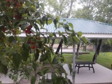 Satılır Həyət evi, Qəbələ.ş-7