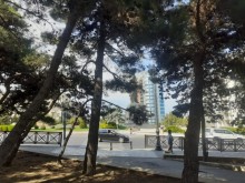 Satılır Köhnə Tikili, Yasamal.r, Elmlər Akademiyası.m-12