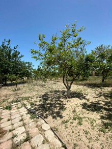 Satılır Həyət evi, Abşeron.r, Novxanı-4