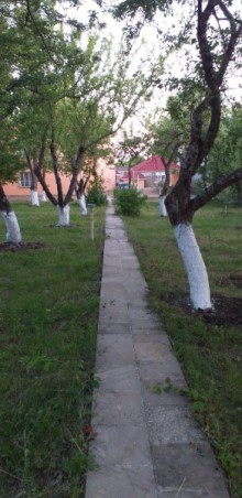 Satılır Həyət evi, Şamaxı.ş-17