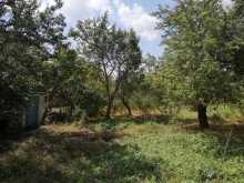 Satılır Həyət evi, Şamaxı.ş-20