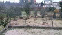 Satılır Torpaq, Sabunçu.r, Bilgəh, Koroğlu.m-6