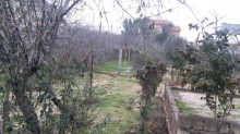 Satılır Torpaq, Sabunçu.r, Bilgəh, Koroğlu.m-9