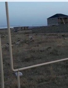 buzovna torpaq sahəsi, -8