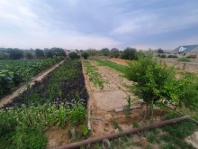 Satılır Torpaq, Sabunçu.r, Bilgəh, Koroğlu.m-2