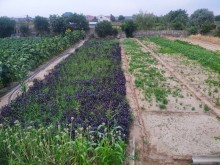 Satılır Torpaq, Sabunçu.r, Bilgəh, Koroğlu.m-5