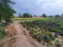Satılır Torpaq, Sabunçu.r, Bilgəh, Koroğlu.m-9