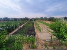 Satılır Torpaq, Sabunçu.r, Bilgəh, Koroğlu.m-10