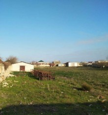 bilgeh torpaq satisi, -5