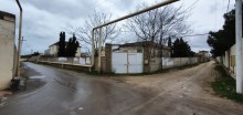 torpaq almaq buzovna, -7