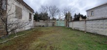 torpaq almaq buzovna, -8