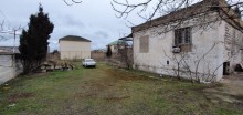 torpaq almaq buzovna, -9