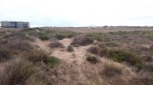 Satılır Torpaq, Sabunçu.r, Nardaran-3