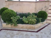 Satılır Həyət evi, Səbail.r, Şıxov-20