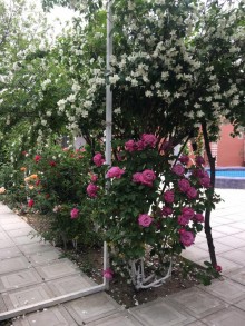 Satılır Həyət evi, Səbail.r, Badamdar-10