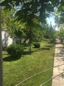 fatmai bag evi elanlari, -19