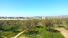 Satılır Torpaq, Sabunçu.r, Nardaran-2