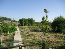 Satılır Həyət evi, Abşeron.r, Novxanı-4