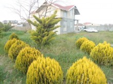 Satılır Həyət evi, Xəzər.r, Buzovna-17