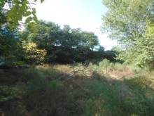 Satılır Torpaq, Səbail.r, Badamdar-5