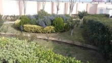 Satılır Villa, Abşeron.r, Novxanı-14
