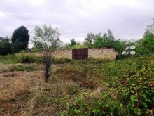 Satılır Torpaq, Qəbələ.ş-1