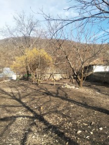 Satılır Torpaq, Qəbələ.ş-5