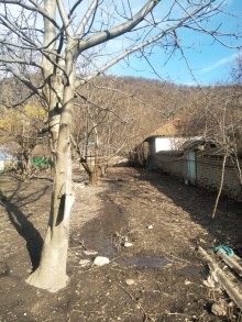 Satılır Torpaq, Qəbələ.ş-6