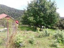 Satılır Torpaq, Qəbələ.ş-1