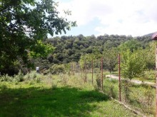 Satılır Torpaq, Qəbələ.ş-11