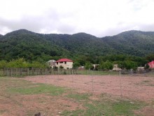 Satılır Torpaq, Qəbələ.ş-10