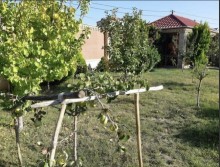Satılır Həyət evi, Nabran.ş-11