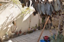 Satılır Həyət evi, Binəqədi.r-6