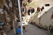 Satılır Həyət evi, Binəqədi.r-10